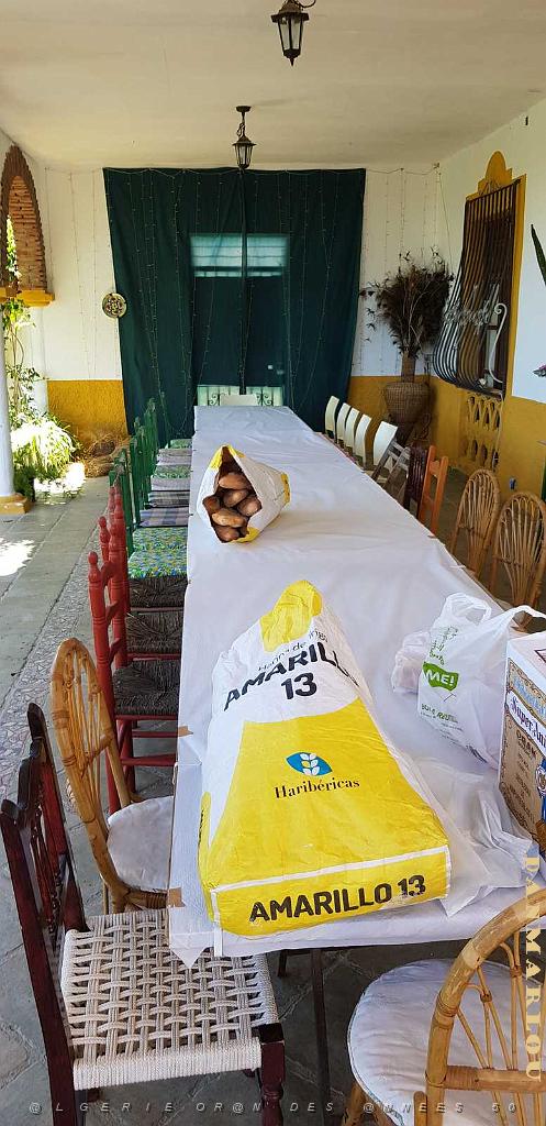 HOMMAGE A N.D. DE SANTA CRUZ A DALIAS DU 7 AU 10 JUIN 2019 (302) BARBECUE CHEZ ANGE A LA CANADA.jpg